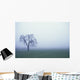 Tree Silhouette In Fog Wall Mural