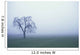 Tree Silhouette In Fog Wall Mural