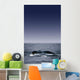 Whale's Fluke Wall Mural
