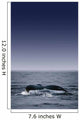 Whale's Fluke Wall Mural