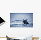 Whale's Fluke Wall Mural