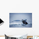 Whale's Fluke Wall Mural