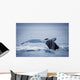 Whale's Fluke Wall Mural