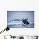 Whale's Fluke Wall Mural