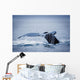 Whale's Fluke Wall Mural