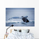 Whale's Fluke Wall Mural