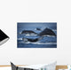 School Of Humpback Whales Wall Mural