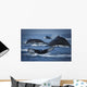School Of Humpback Whales Wall Mural