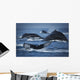 School Of Humpback Whales Wall Mural