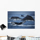 School Of Humpback Whales Wall Mural