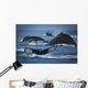 School Of Humpback Whales Wall Mural