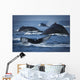 School Of Humpback Whales Wall Mural