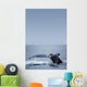 Humpback Whale Tail Fin Wall Mural