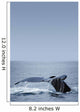 Humpback Whale Tail Fin Wall Mural