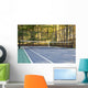 Platform Tennis Paddle Court Wall Mural