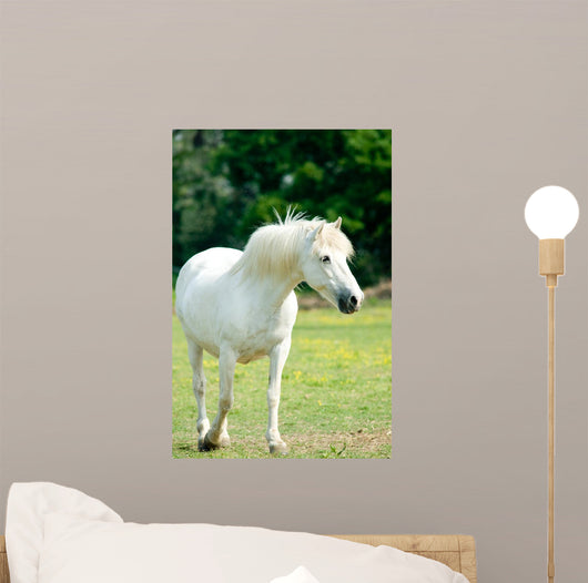 White Horse