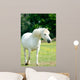 White Horse
