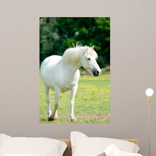 White Horse