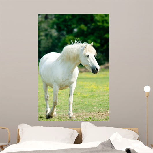White Horse