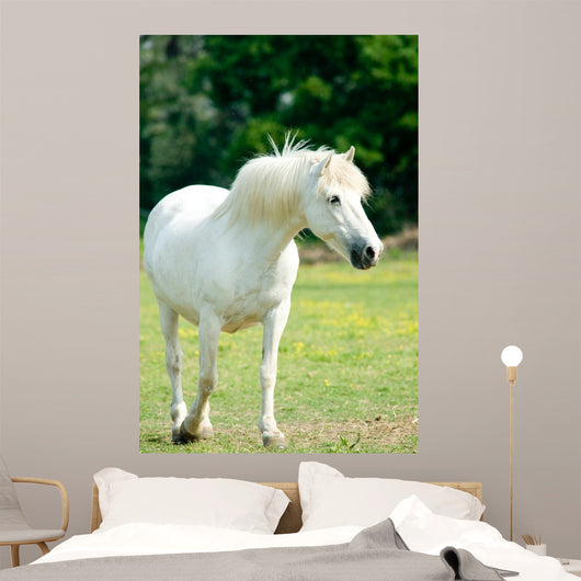 White Horse
