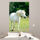 White Horse
