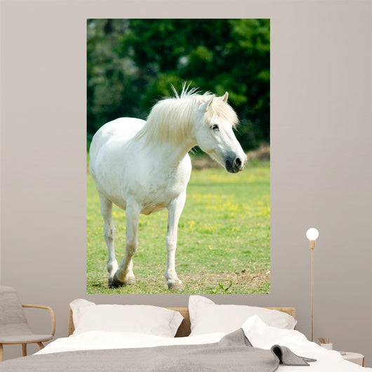 White Horse