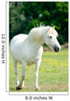 White Horse