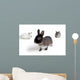 Rabbits Wall Mural