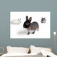 Rabbits Wall Mural