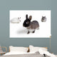 Rabbits Wall Mural