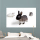 Rabbits Wall Mural