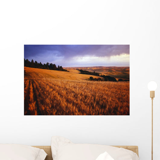 Sunset Over Wheat Field On Steptoe Butte Wall Mural
