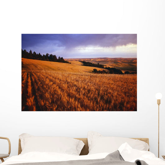 Sunset Over Wheat Field On Steptoe Butte Wall Mural