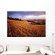 Sunset Over Wheat Field On Steptoe Butte Wall Mural