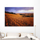 Sunset Over Wheat Field On Steptoe Butte Wall Mural