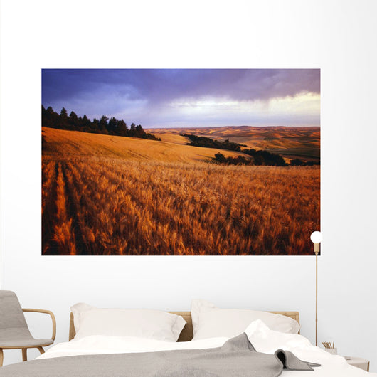 Sunset Over Wheat Field On Steptoe Butte Wall Mural