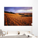 Sunset Over Wheat Field On Steptoe Butte Wall Mural