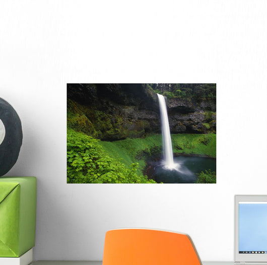Silver Falls State Park, Oregon, Usa Wall Mural