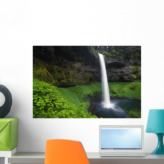 Silver Falls State Park, Oregon, Usa Wall Mural