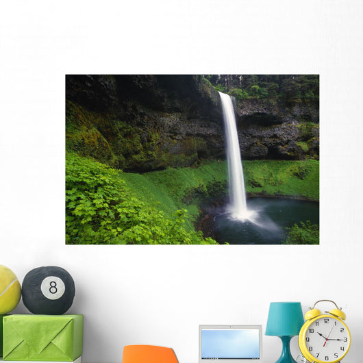 Silver Falls State Park, Oregon, Usa Wall Mural