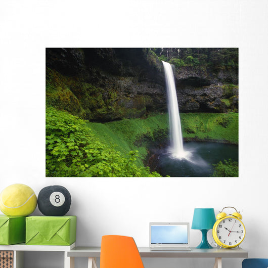 Silver Falls State Park, Oregon, Usa Wall Mural