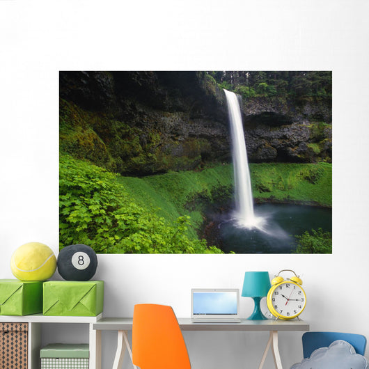 Silver Falls State Park, Oregon, Usa Wall Mural