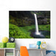 Silver Falls State Park, Oregon, Usa Wall Mural