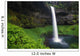 Silver Falls State Park, Oregon, Usa Wall Mural