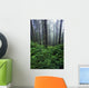 Lush Foliage And Bare Trees In Fog Wall Mural