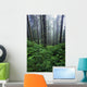 Lush Foliage And Bare Trees In Fog Wall Mural