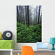 Lush Foliage And Bare Trees In Fog Wall Mural
