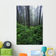 Lush Foliage And Bare Trees In Fog Wall Mural
