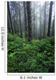 Lush Foliage And Bare Trees In Fog Wall Mural