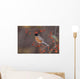 American Robin In Crab Apple Tree Wall Mural